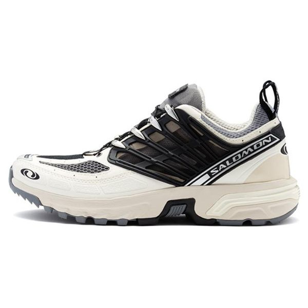 Salomon ACS Pro DSM Лунная скала