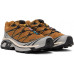 Кроссовки Salomon Tan XT-6