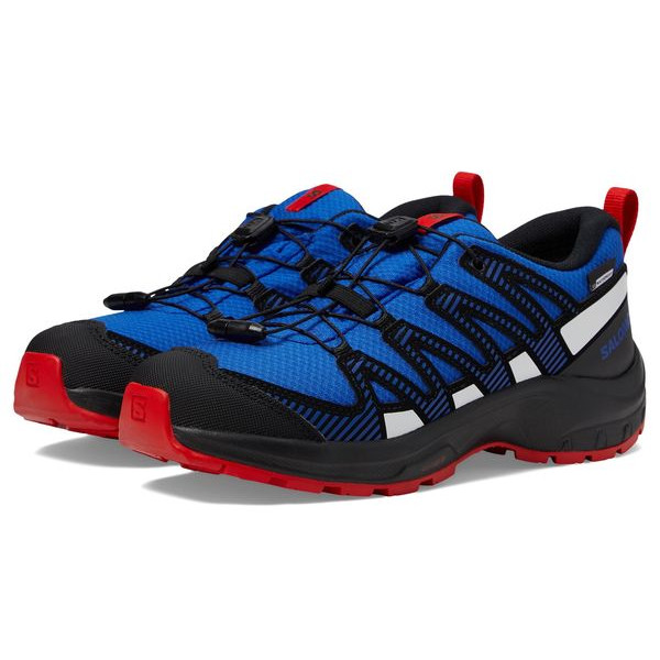 Кроссовки Salomon Kids Xa Pro V8 CS WP (Little Kid/Big Kid)